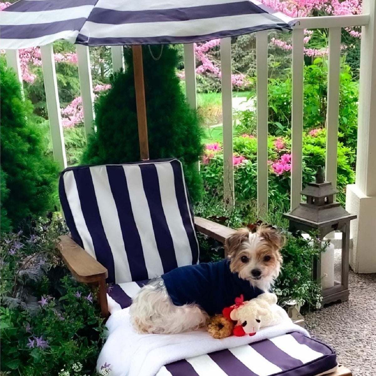 Kids Outdoor Chaise Lounge with Umbrella - Navy